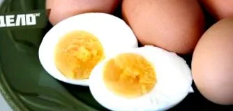 susie táplálkozási