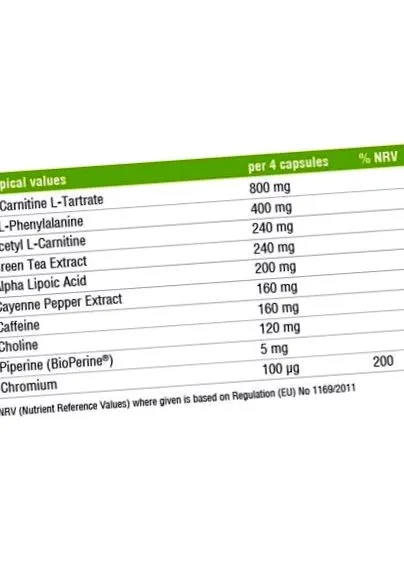 Thermo Fusion® thermo