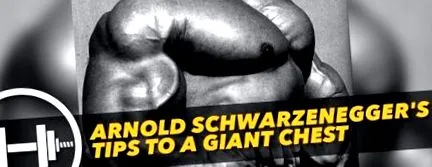 arnold Arnold Schwarzenegger