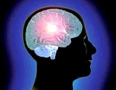 E-vitamin koenzim rutin vitaminok