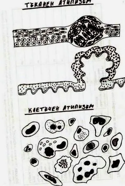 daganatos sejtek daganatok