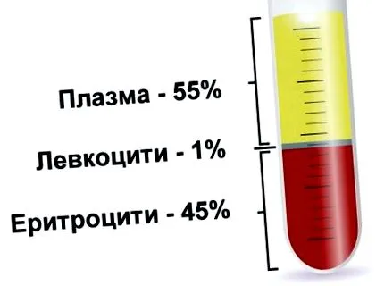 aggódnunk vérben