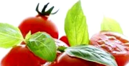 vegetáriánus