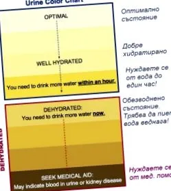vizelet színe gyógyít