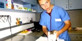 tesztek általában tesztek általában invazívak