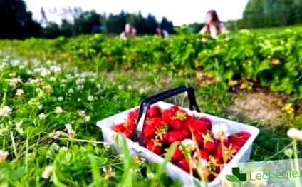 allergiás reakció méreg