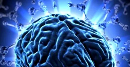agyalapi mirigy betegségei