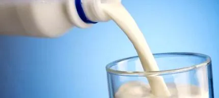 nézet