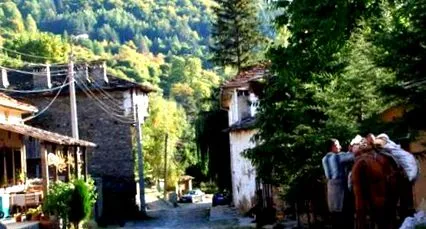 lakói