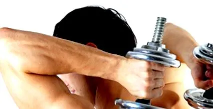 deltoid izom deltoid izom Pars
