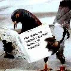 csemete