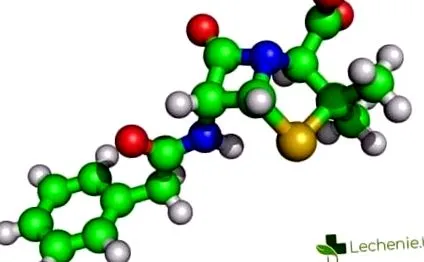 penicillin penicillin