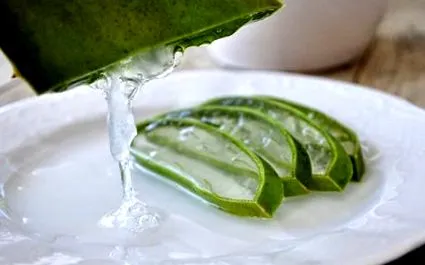 aloe ivása