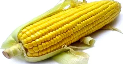 fájdalmat