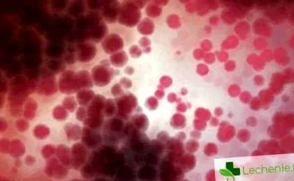 nemi úton terjedő hüvelyi candidiasis