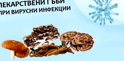 hagyományos kínai hagyományos kínai
