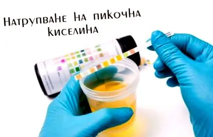 királyi