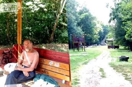 bolgár