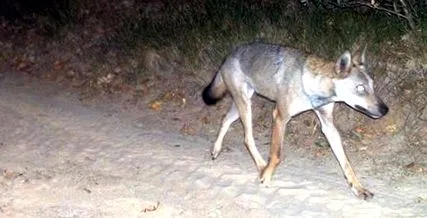 Bulgaria Today