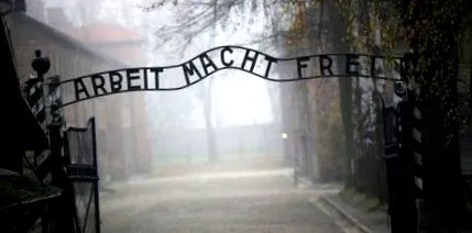 wiesenthal náci