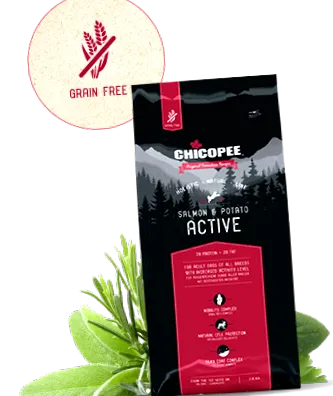 holisztikai chicopee