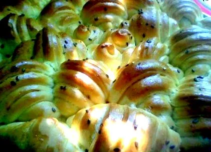 pamuttorta pamuttorta