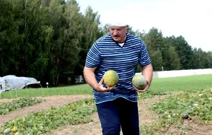 elnök Hozzászólások kikapcsolva