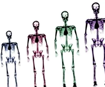 szigorú szabályok evolúciója