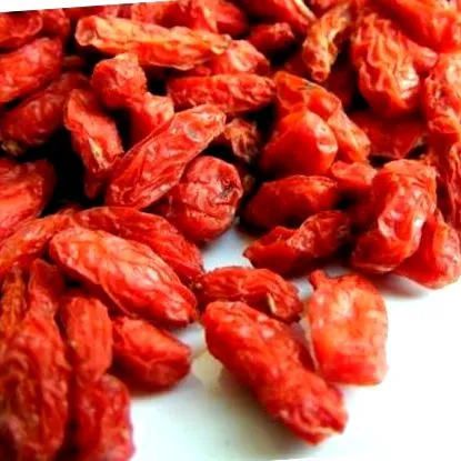 bogyó goji bogyó