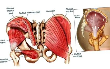 okok tendinopathia