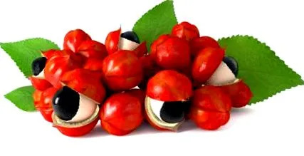 guarana