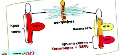 hematokrit
