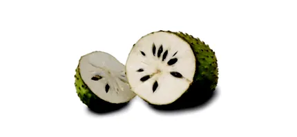 graviola receptek