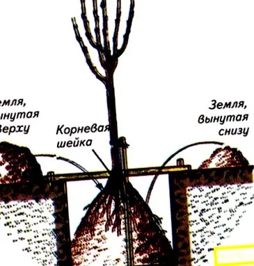 sértő tegyen