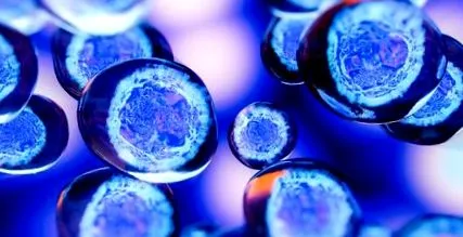 szükséges hematopoietikus