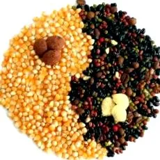 macrobiotics makrobiotikus