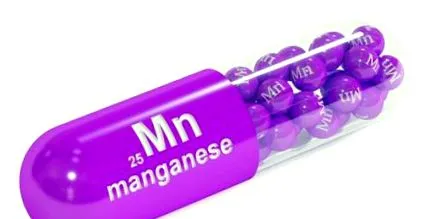 mangán napi funkciója