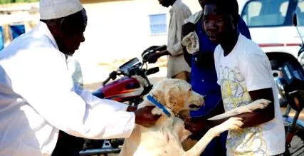 működik africa