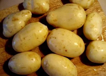 burgonya