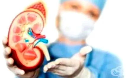 glomerulonephritisben