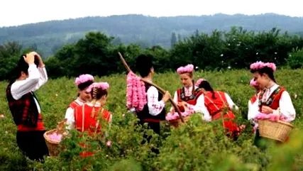 rózsa-völgy első