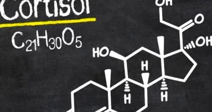 kortizol hormonok kortizol