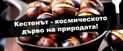 fája kozmikus