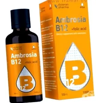 ambrosia