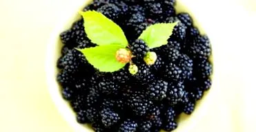 mint hasznosabb
