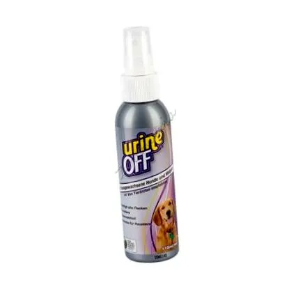 spray spray