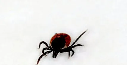 vagy okozhatja