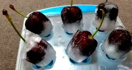 recept recept