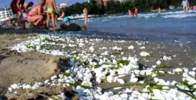 strandon titokzatos