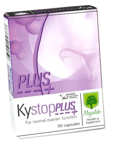 kistop kistop
